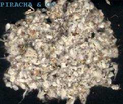 Cotton Droppings for Mushroom Growing - Special